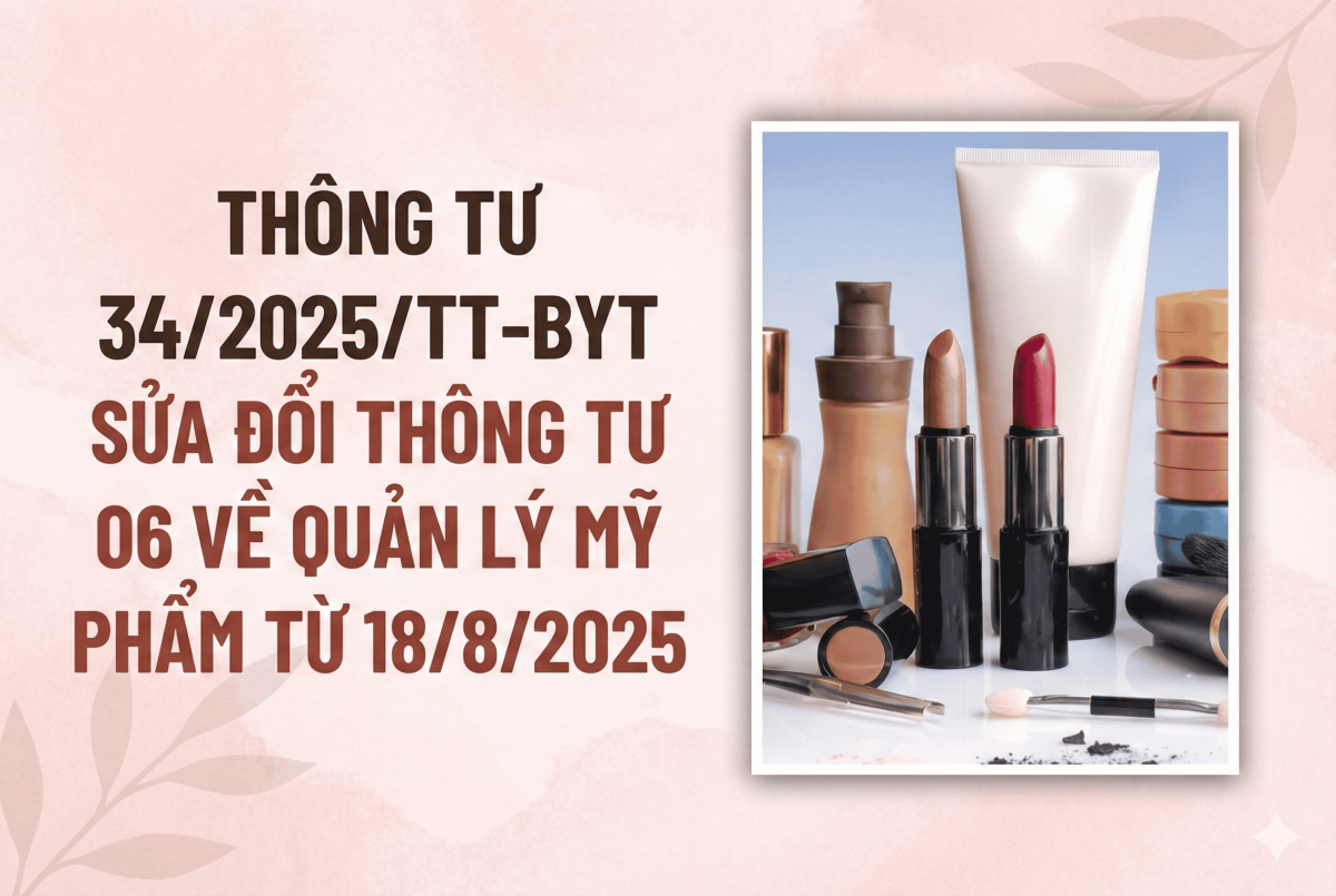 Thông ty 06